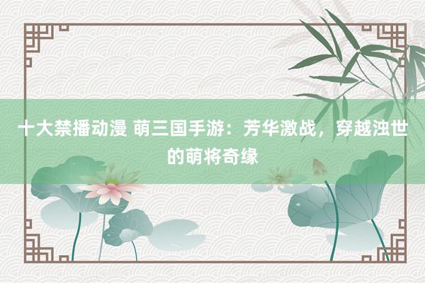 十大禁播动漫 萌三国手游：芳华激战，穿越浊世的萌将奇缘