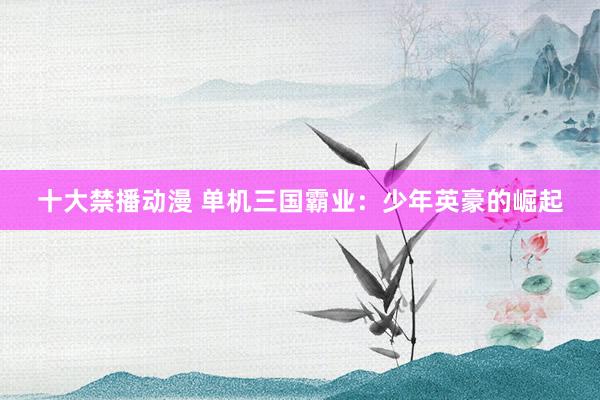 十大禁播动漫 单机三国霸业：少年英豪的崛起