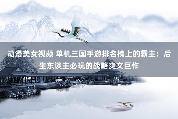 动漫美女视频 单机三国手游排名榜上的霸主：后生东谈主必玩的战略爽文巨作