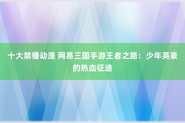 十大禁播动漫 网易三国手游王者之路：少年英豪的热血征途