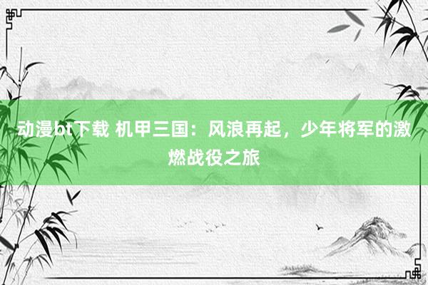 动漫bt下载 机甲三国：风浪再起，少年将军的激燃战役之旅