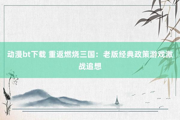 动漫bt下载 重返燃烧三国：老版经典政策游戏激战追想