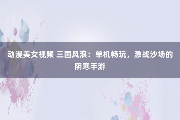 动漫美女视频 三国风浪：单机畅玩，激战沙场的阴寒手游