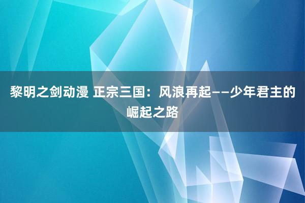 黎明之剑动漫 正宗三国：风浪再起——少年君主的崛起之路