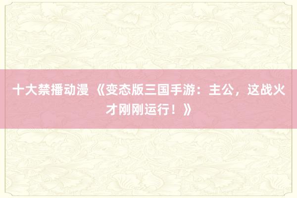 十大禁播动漫 《变态版三国手游：主公，这战火才刚刚运行！》