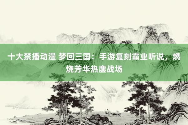 十大禁播动漫 梦回三国：手游复刻霸业听说，燃烧芳华热鏖战场