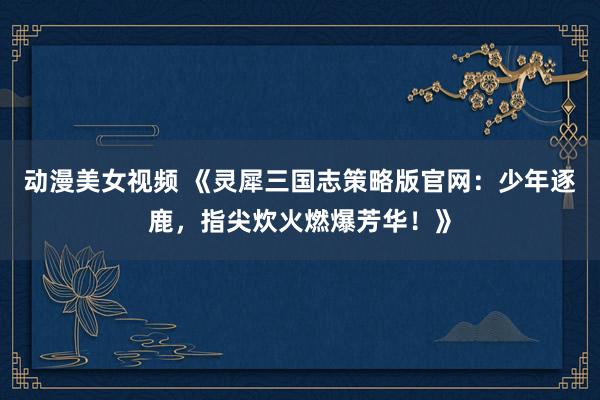 动漫美女视频 《灵犀三国志策略版官网：少年逐鹿，指尖炊火燃爆芳华！》