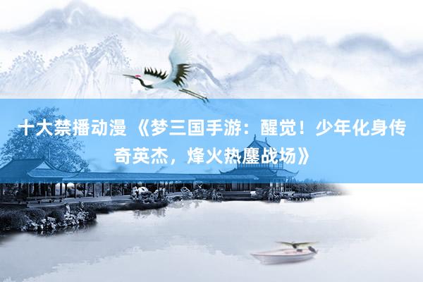 十大禁播动漫 《梦三国手游：醒觉！少年化身传奇英杰，烽火热鏖战场》