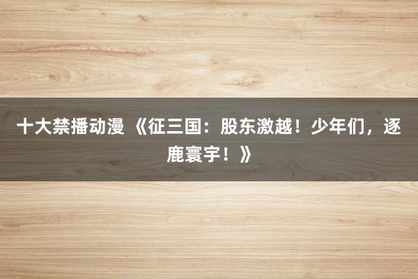 十大禁播动漫 《征三国：股东激越！少年们，逐鹿寰宇！》