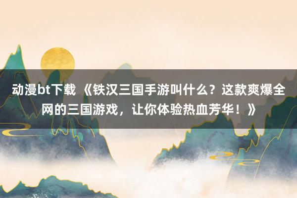 动漫bt下载 《铁汉三国手游叫什么？这款爽爆全网的三国游戏，让你体验热血芳华！》