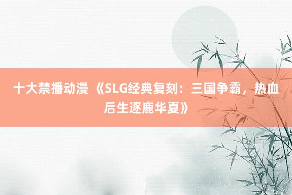 十大禁播动漫 《SLG经典复刻：三国争霸，热血后生逐鹿华夏》