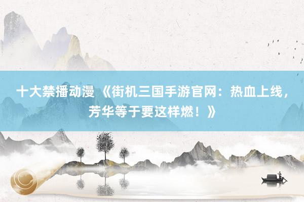 十大禁播动漫 《街机三国手游官网：热血上线，芳华等于要这样燃！》