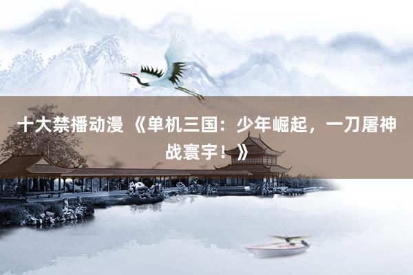 十大禁播动漫 《单机三国：少年崛起，一刀屠神战寰宇！》