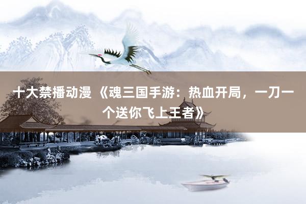 十大禁播动漫 《魂三国手游：热血开局，一刀一个送你飞上王者》